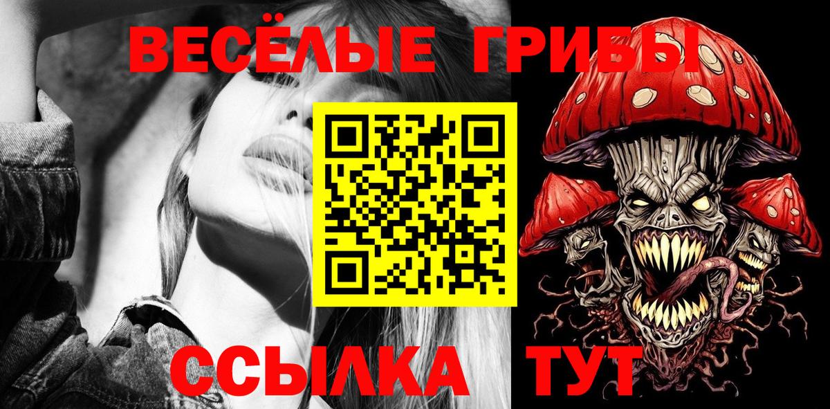 Псилоцибиновые грибы мицелий Апшеронск